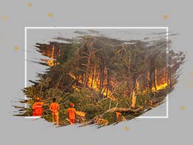 Orman ve Kırsal Alan Yangınlarına Müdahale